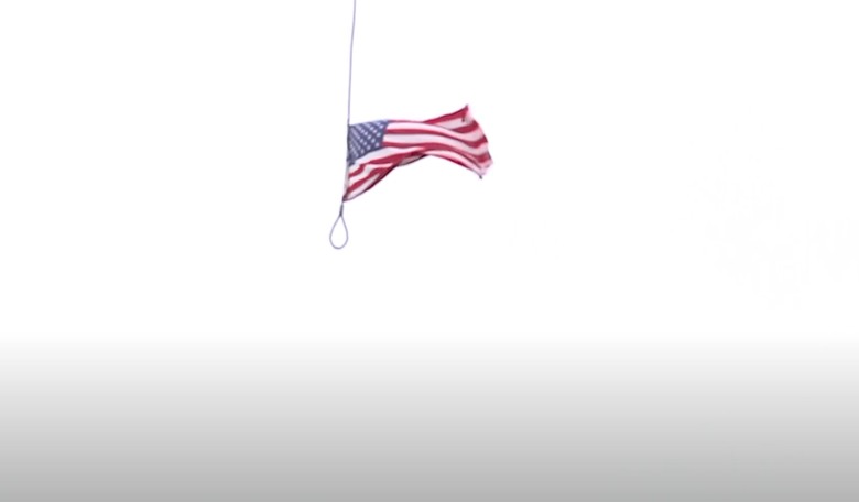 HORROR SHOCK: Racist Cranes Taking Over Connecticut