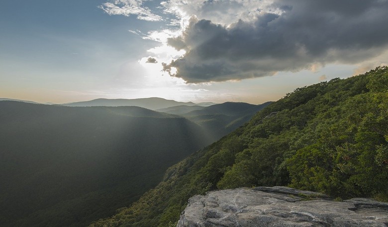 There Are Deep Roots in These Mountains