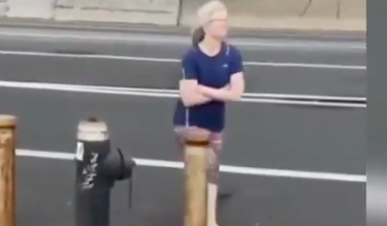 [VIDEO] 'Karen' Tries to Lure Asian Man's Unleashed Dog Into Traffic