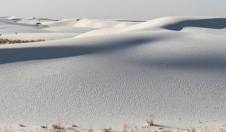 Fossilized Human Footprints in New Mexico Are Oldest Ever Found in North America