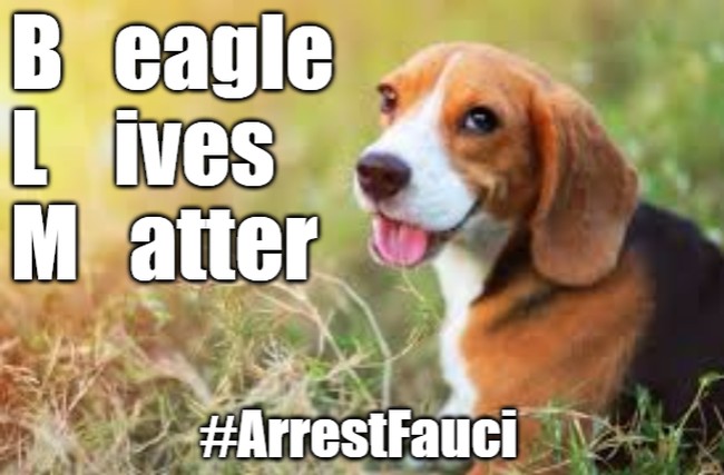 Beagle Lives Matter
