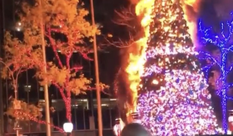 Grinch Torches Fox News 'All-American Christmas Tree'