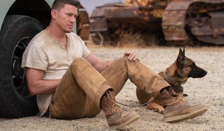 Review: 'DOG' Is Much More Than a Buddy Road Trip Movie
