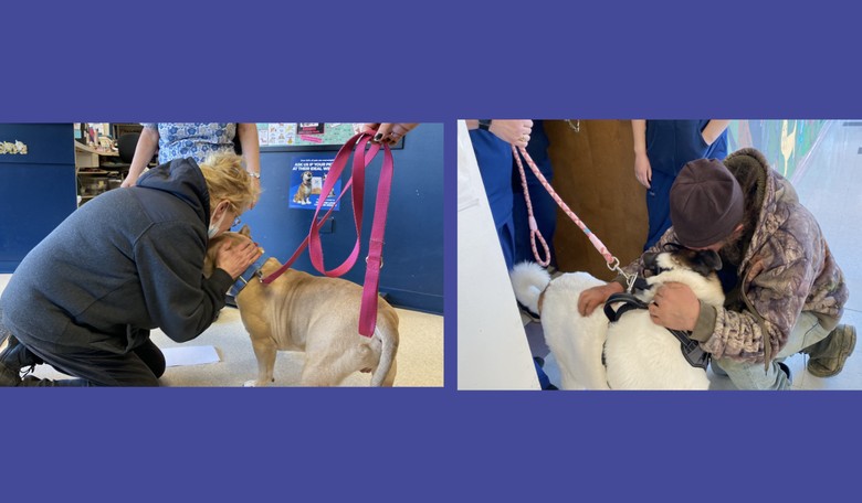 Dogs on Death Row Win Their Freedom as Anne Arundel County Settles After Losing in Court