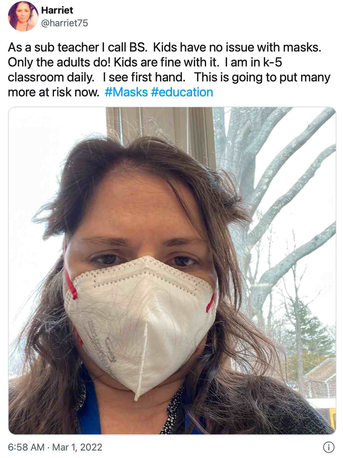 Sub Teacher Masks