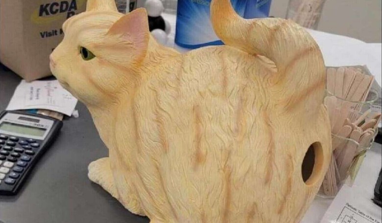 Wash. School's 'Gay and Sexuality' Advisor's Cat Box Caper Leaves Parents and Students Disgusted