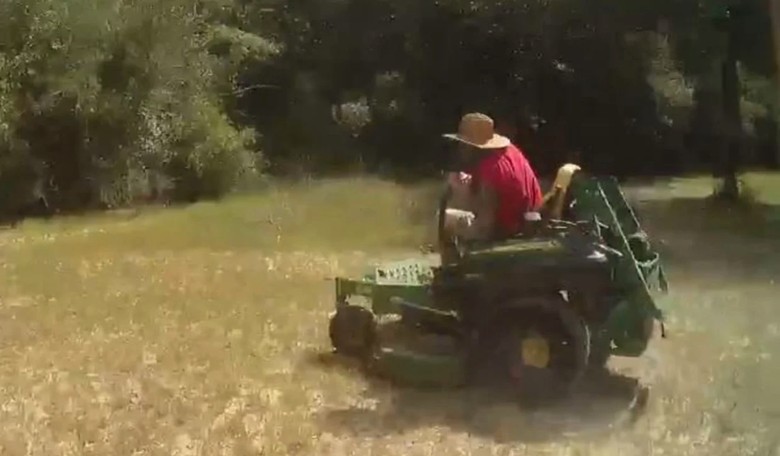Florida Man Friday: Smokey and the Lawnmower Bandit