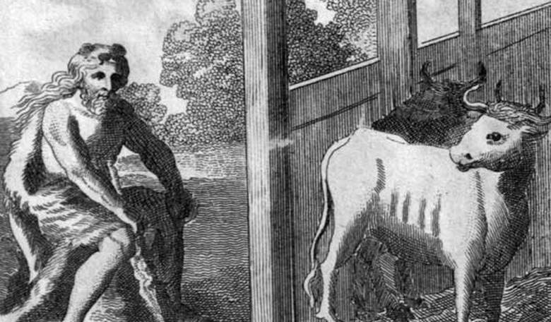 Cleaning the Washington Stables