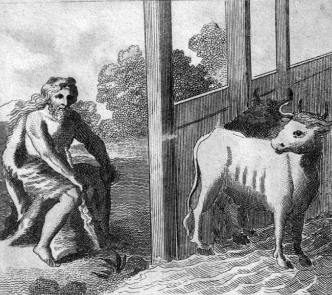 Cleaning the Washington Stables