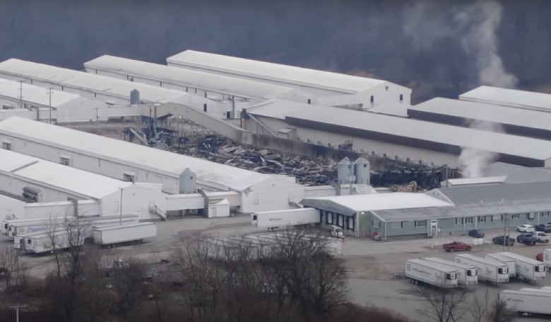 Fire at Connecticut Egg Farm Latest in Series of Mysterious Food Processor Fires