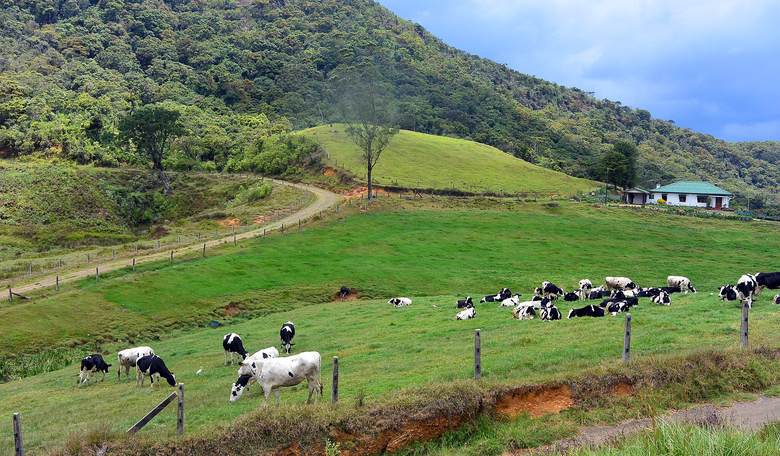 Nearly 1,000 Scientists Sign Declaration in Favor of Animal Products' Health Benefits