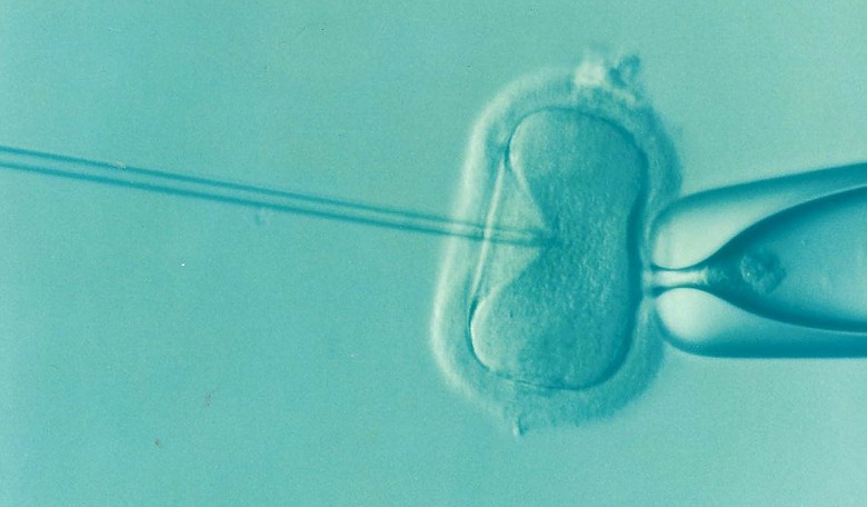 GOP in a Quandary Over Alabama IVF Ruling