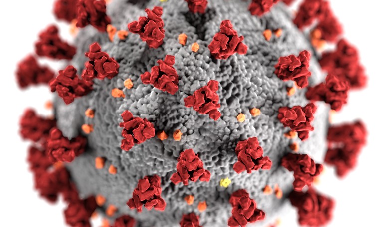 Four Years Late, CDC Admits COVID Is Basically Like Flu