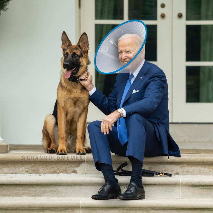 Joe Biden Does Not Like the Cone of Shame
