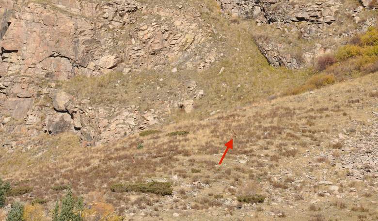 Bigfoot Caught on Video in Colorado Mountains