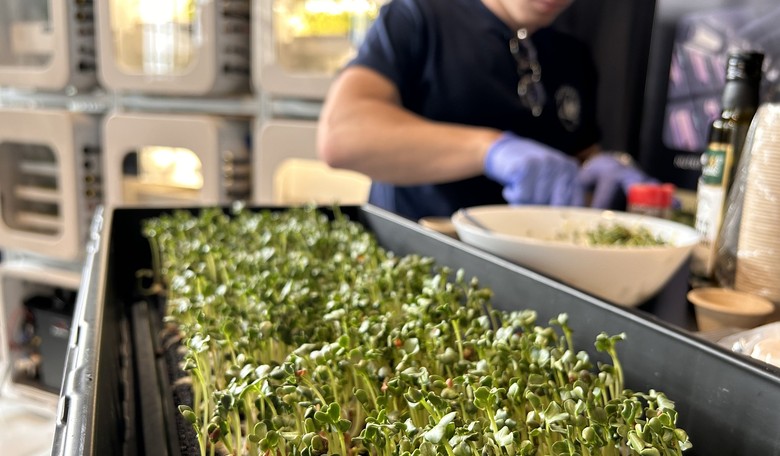 NASA Seeks to Solve the Problem of Food in Long-Duration Space Exploration