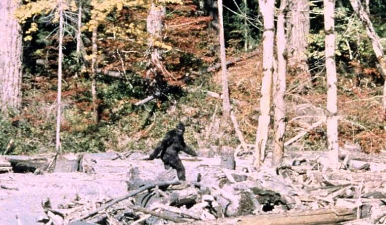 Bigfoot or Something Like It: The Hunters Have a Point