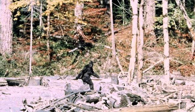 Bigfoot or Something Like It: The Hunters Have a Point