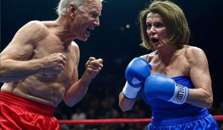 When Donkeys Have Claws: Epic Cat Fight Between the Pelosis, Joe Biden, and ‘Lady McBiden’ Exposed