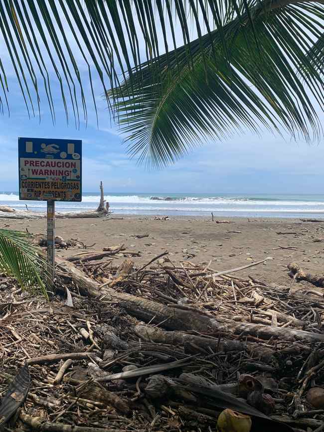 Guess What Turned Up in Costa Rica This Week? (Hint: Petro Probably Most Hurt)