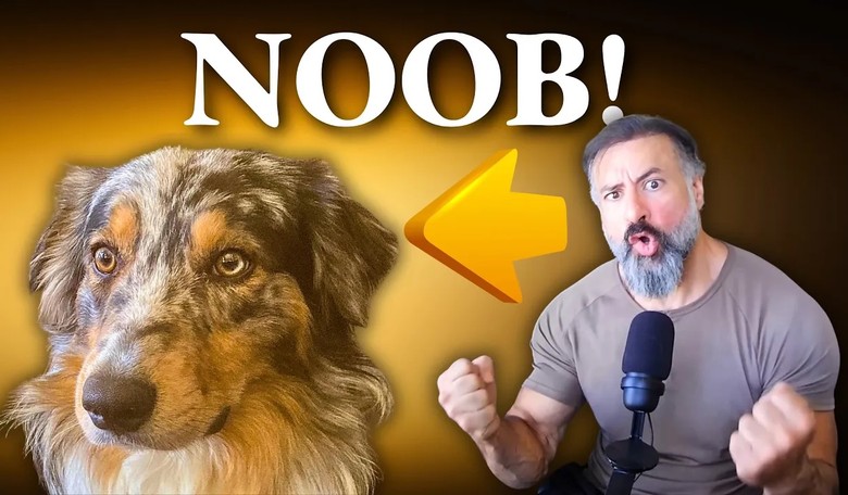 About That Dog…