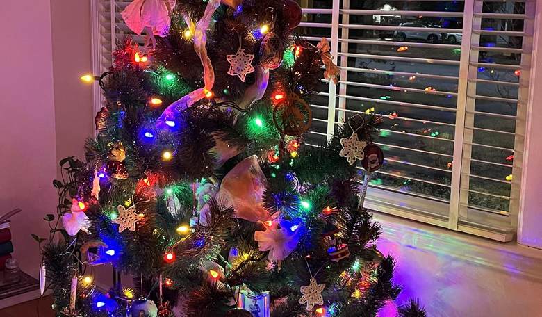 Do You Do Fake or Fir? Answering the Annual Christmas Tree Question
