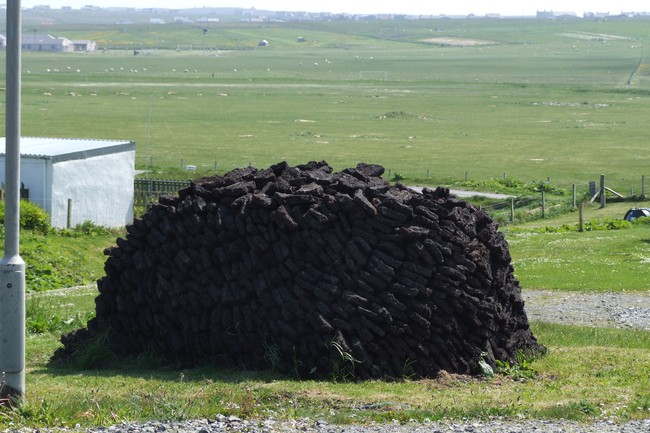 Whisky Wednesday: These Brash Young Scotches Bring Big Peat