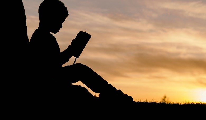 LitNation: Simple Steps to Lead America’s Youth Back to Literature – Before It’s Too Late