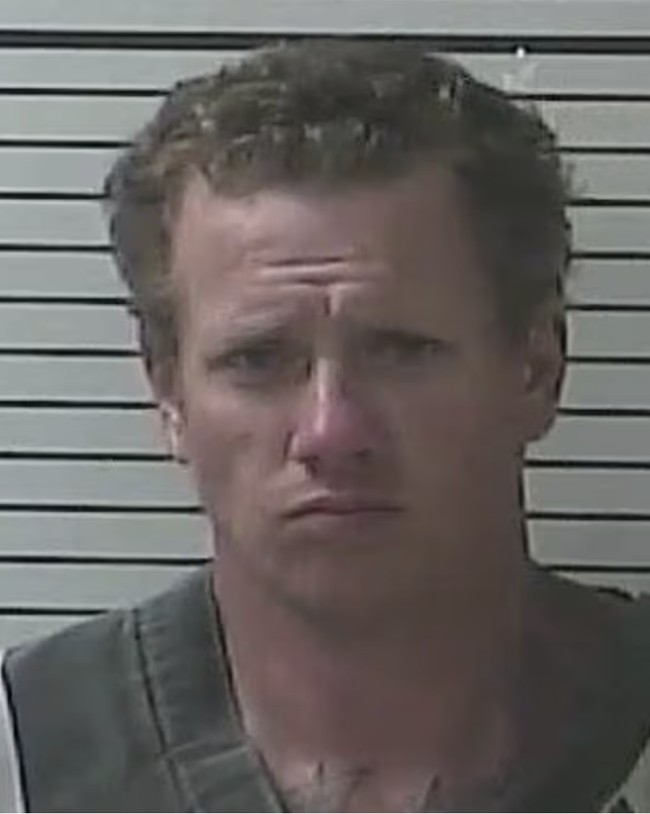 Florida man flees traffic stop, jumps curb, beaches truck
