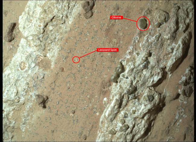 Perseverance Finds a Rock with ‘Leopard Spots’