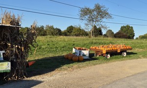 Have a Dollar General Halloween