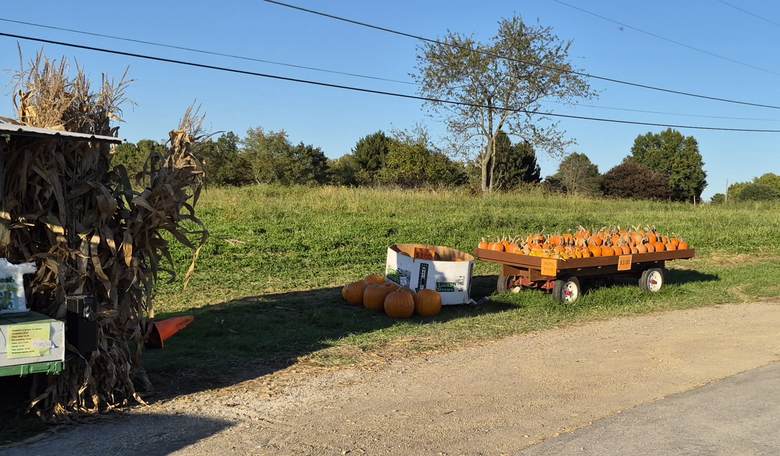 Have a Dollar General Halloween
