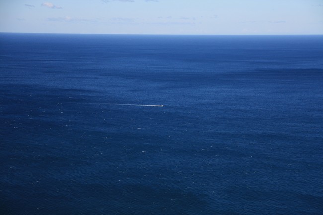 What One Australian Teen Did to Save His Family Is Superhuman