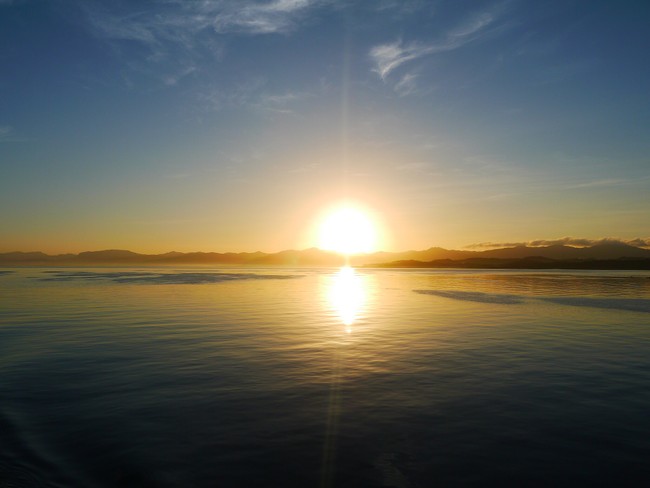 Dr. Willie Soon Reveals the Real Driver of Climate Change in New Video