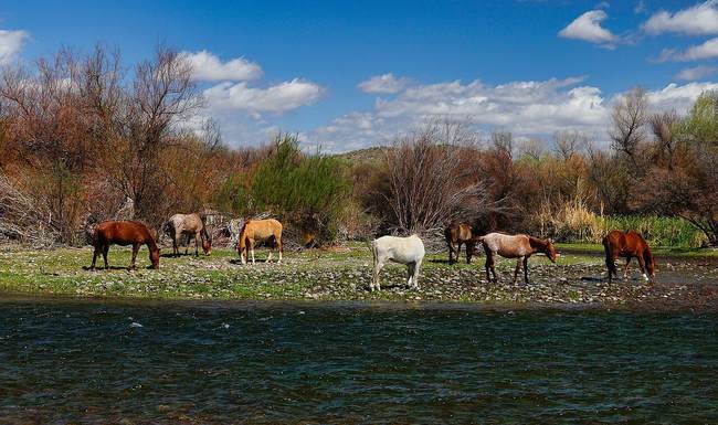 Why Is a Democratic Governor Undermining a Conservative Conservation Success Story?