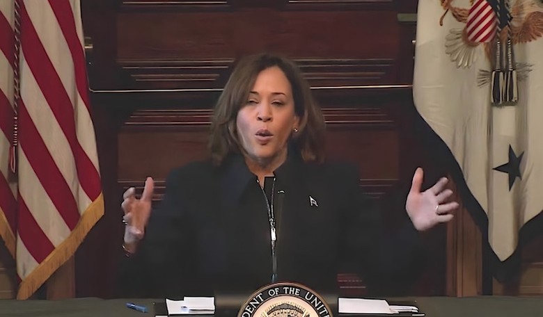 WATCH: Kamala Harris Proudly Tries to Explain 'Equity,' Only Confirms Actual Intent of Socialism