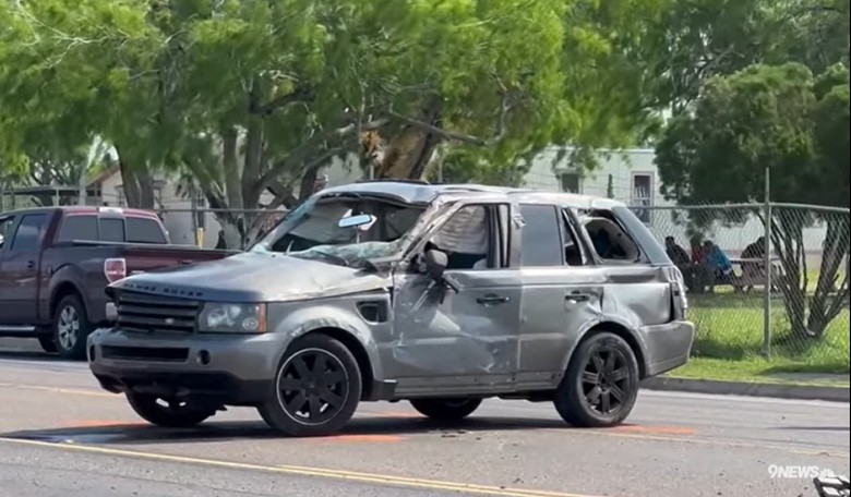 7 Killed in Brownsville, Texas as SUV Plows Through Crowd
