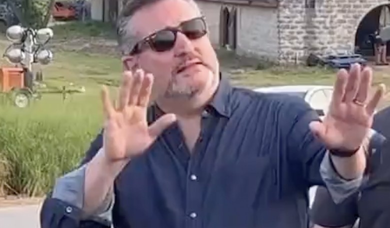 WATCH: Ted Cruz's Blistering Take Down of Lib 'Journo' at the Border Is Taking the Internet by Storm