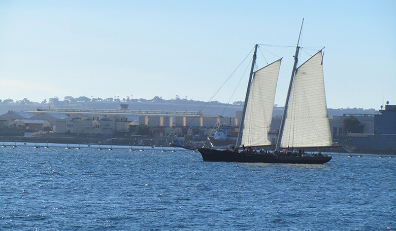 The Latest in Green Technology—Sails