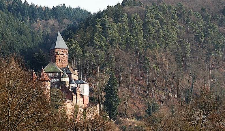Germany and the Rise of the Right