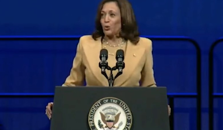 Bluff Called: Kamala Harris Responds to Ron DeSantis Offer to Meet