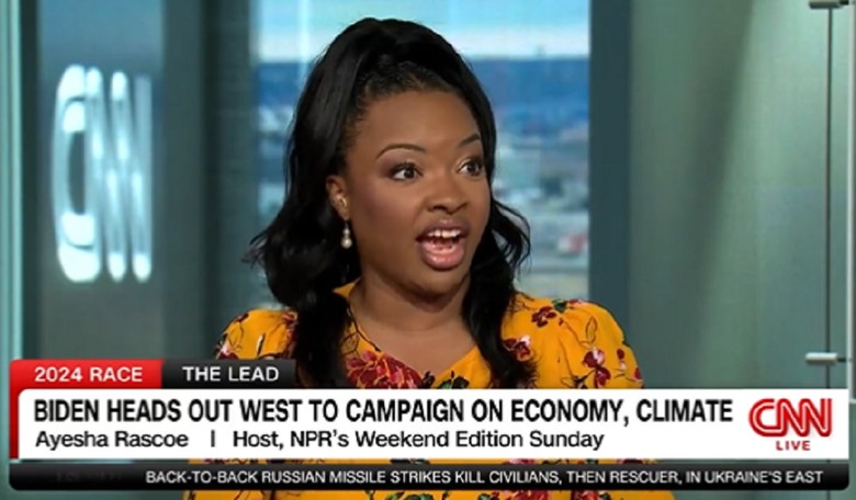 Tapper Perplexed by Biden's Policies Failing to Persuade Americans, NPR Host Insists She Knows Why