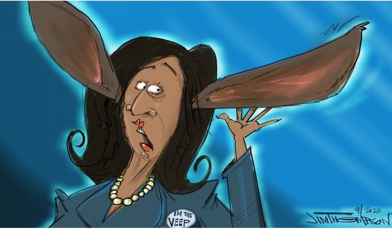 New Book: 'The Last Politician' Casts Biden as a 'Father Figure' and Harris as Thin Skinned
