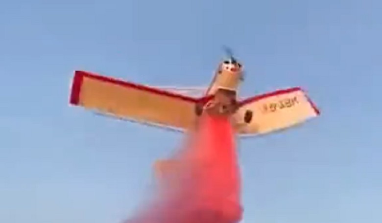 WATCH: Gender Reveal Turns Deadly After Plane Buzzes the Party, and the Reaction Is Stunning