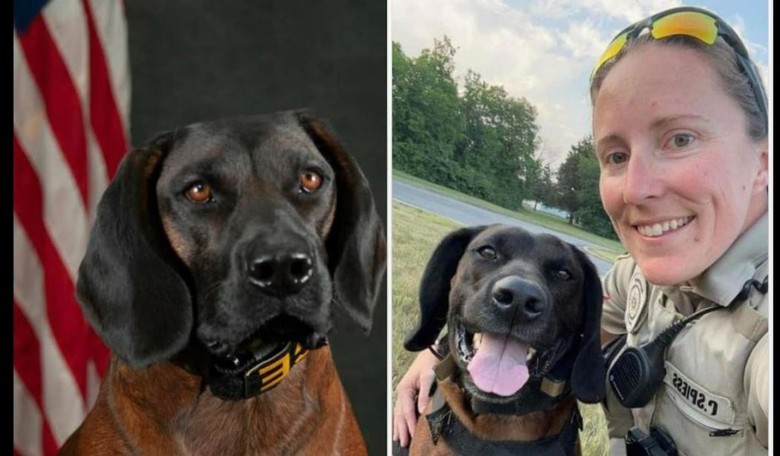 Feel-Good Friday: The K-9 Victory Project and St. Charles County Honor K-9 'Tank' on His Retirement