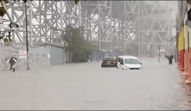 Wild Moments from the Massive Flooding in NYC, As Even a Zoo Sea Lion Went for a Jaunt