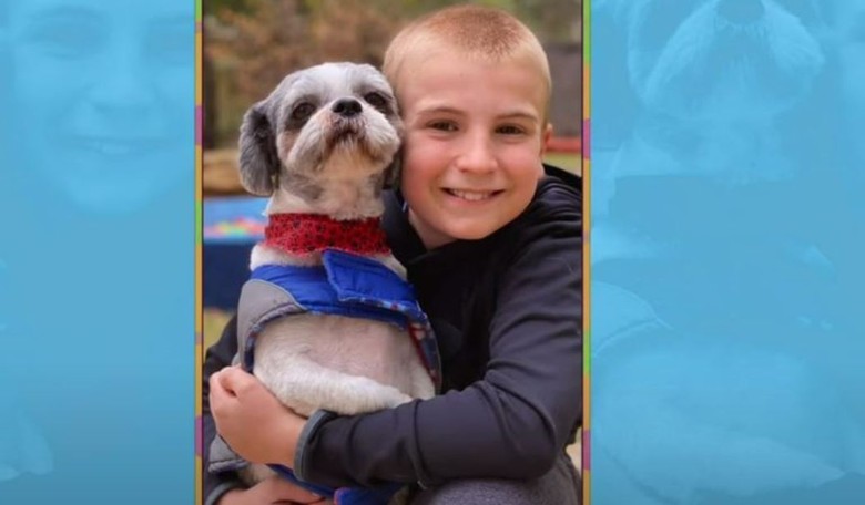 Feel-Good Friday: 'Roman to the Rescue!' This 12-Year-Old Has Saved 4,844 Shelter Dogs