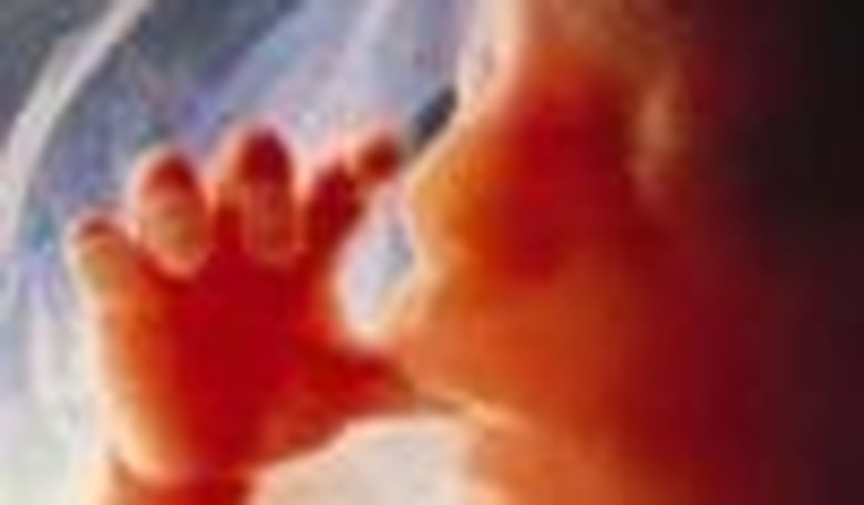 The Abortion Truce Trap