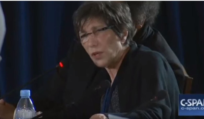 Member Of Democrat Platform Committee Says Guns Should Be Illegal (VIDEO)