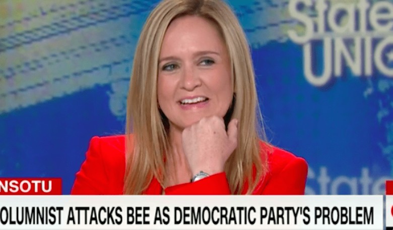 There is No Smug Liberal Problem, Says Bee